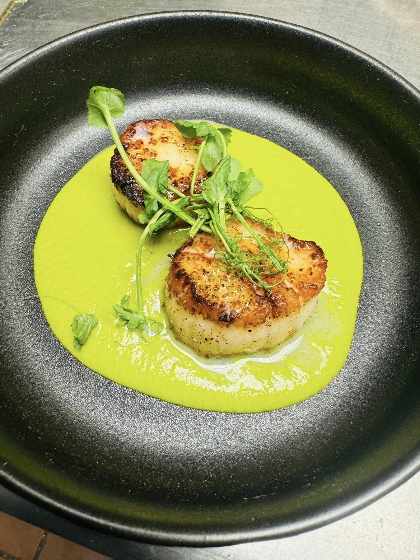 Atticus dish 1